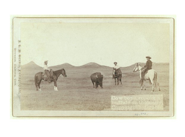 Cowboys with an American Bison