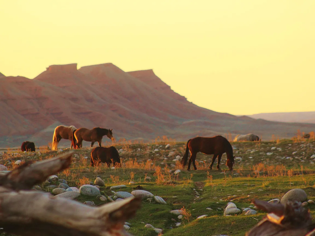 Paintrock Valley, Wyoming