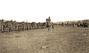 Wolcott's Regulators surrendering at the TA Ranch in Wyoming
